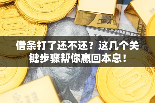 武汉借条打了还不还？这几个关键步骤帮你赢回本息！
